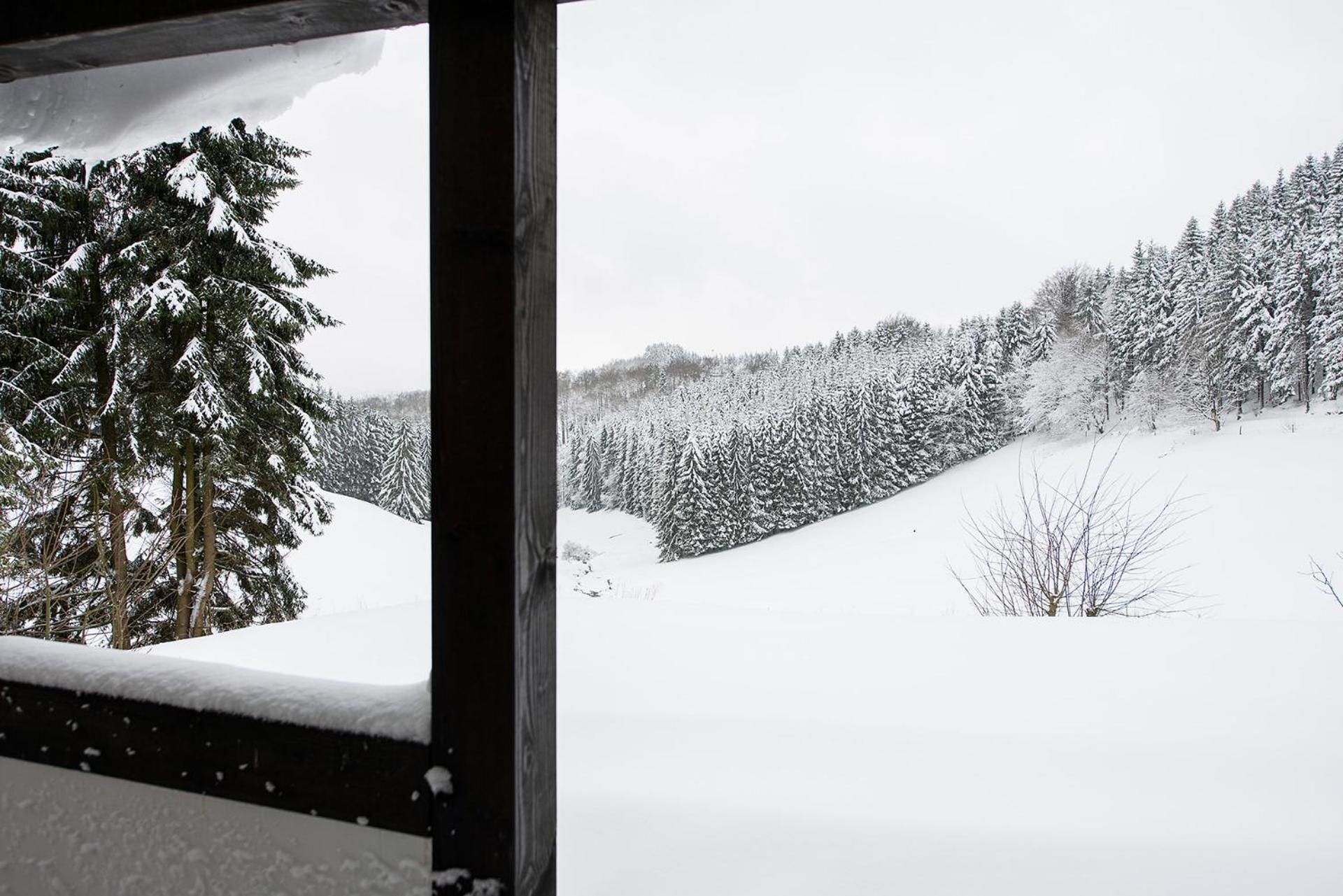 Romantikhuette Neuastenberg Winterberg Exteriér fotografie
